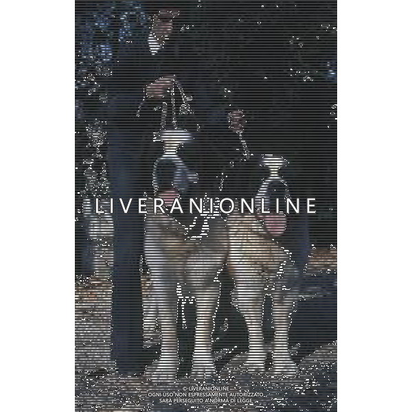 CANE SAN BERNARDO AG ALDO LIVERANI SAS