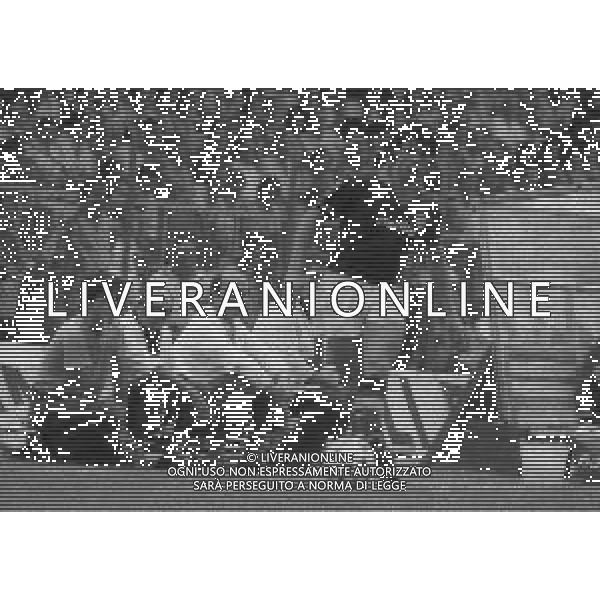 20-09-1981 CESENA CAMPIONATO DI CALCIO SERIE A CESENA -ROMA 1-1 NELLA FOTO SEBASTIANO NELA AG ALDO LIVERANI SAS