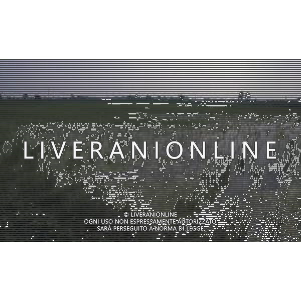 LE RISAIE ANNO 1987 AG ALDO LIVERANI SAS