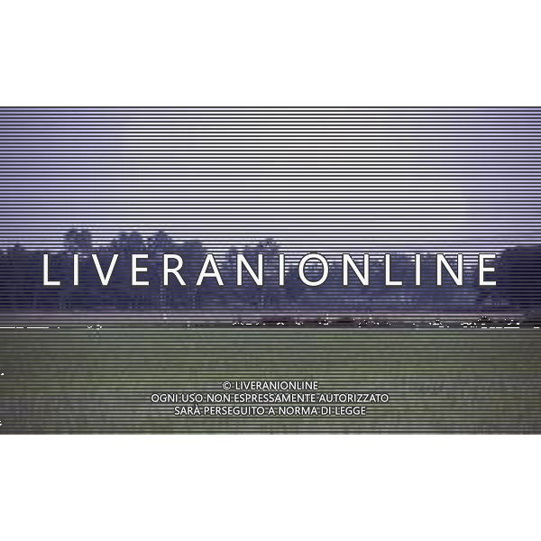 LE RISAIE ANNO 1987 AG ALDO LIVERANI SAS