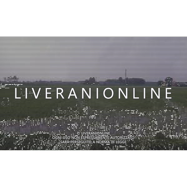 LE RISAIE ANNO 1987 AG ALDO LIVERANI SAS