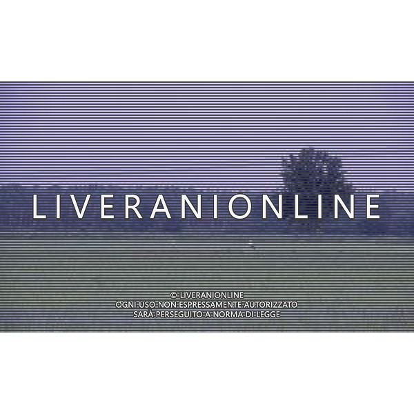 LE RISAIE ANNO 1987 AG ALDO LIVERANI SAS