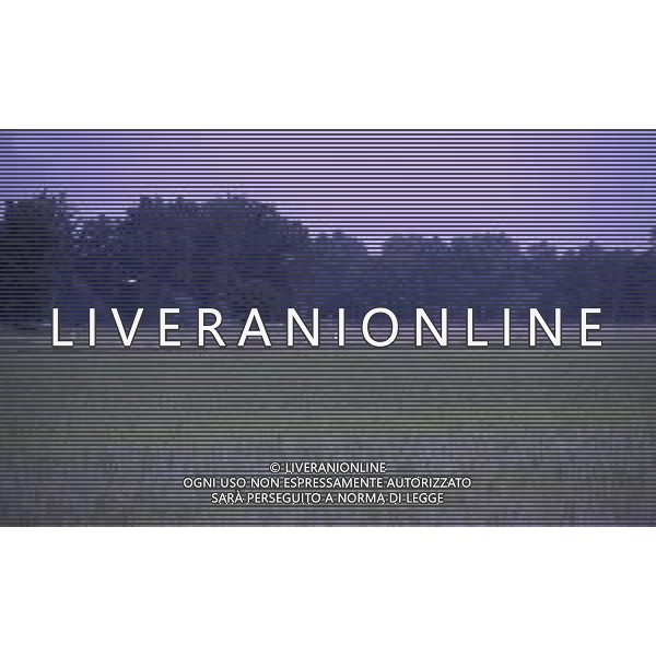 LE RISAIE ANNO 1987 AG ALDO LIVERANI SAS