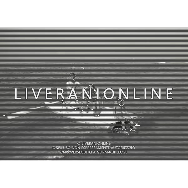 RETROSPETTIVA ALIGHIERO NOSCHESE ATTORE -IMITATORE-SHOWMAN E COMICO NELLA FOTO ALIGHIERO NOSCHESE CON LA FAMIGLIA A VIAREGGIO NELL\'ANNO 1971 AG ALDO LIVERANI SAS  