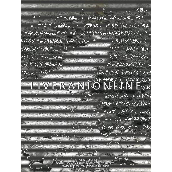 BEREGUARDO FIUME TICINO NELL\'ANNO 1982 NELLA FOTO IL FIUME TICINO IN SECCA A BEREGUARDO AG ALDO LIVERANI SAS