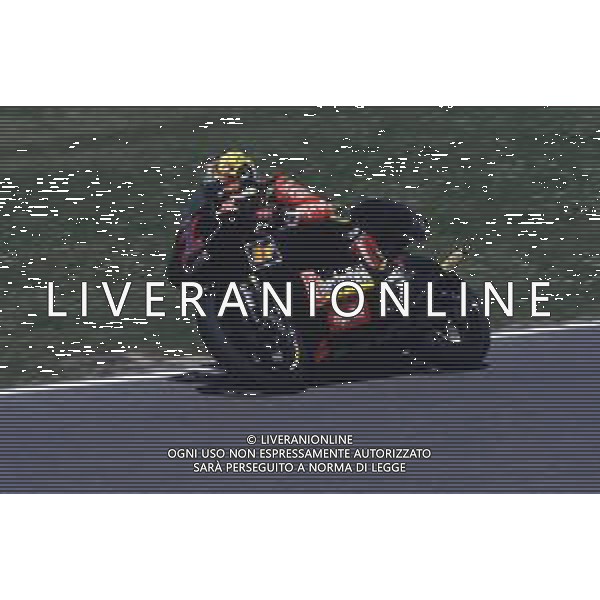 RETROSPETTIVA MAX BIAGGI MOTOCICLISMO NELLA FOTO MAX BIAGGI APRILIA C.C 250 NELL\'ANNO 1996 ARCHIVIO DANILO RECALCATI-AG ALDO LIVERANI SAS