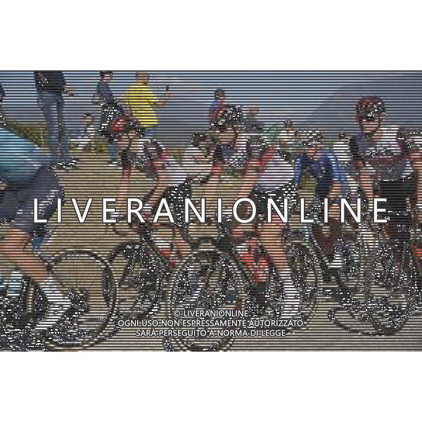 17-10-2021 Veneto Classic; 2021, Uae - Emirates; Ulissi, Diego; Ca\' Del Poggio; ©SIROTTI/AGENZIA ALDO LIVERANI SAS