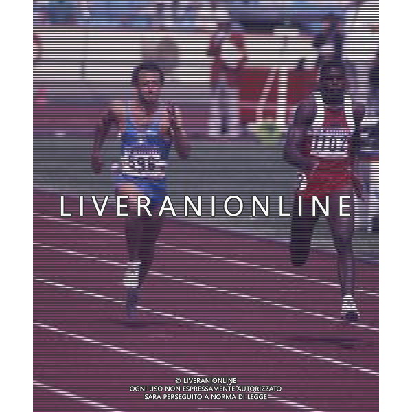 RETROSPETTIVA PIER FRANCESCOPAVONI ATLETICA NELLA FOTO PIER FRANCESCO PAVONI E CARL LEWIS NELL\'ANNO 1988 OLIMPIADI DI SEUL AG ALDO LIVERANI SAS