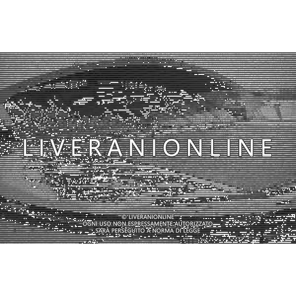 13-01-1985 UDINE CAMPIONATO DI CALCIO SERIE A UDINESE -CREMONESE 2-0 NELLA FOTO STADIO DEL FRIULI CON LA NEVE AG ALDO LIVERANI SAS