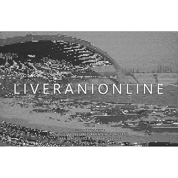 13-01-1985 UDINE CAMPIONATO DI CALCIO SERIE A UDINESE -CREMONESE 2-0 NELLA FOTO STADIO DEL FRIULI CON LA NEVE AG ALDO LIVERANI SAS