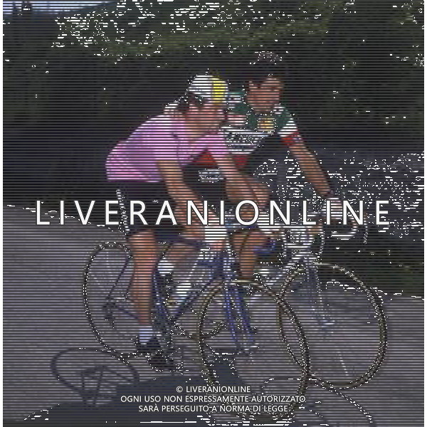 RETROSPETTIVA BERNARD HINAULT CICLISTA NELLA FOTO BERNARD HINAULT E FRANCESCO MOSER NELL\'ANNO 1980 AG ALDO LIVERANI SAS