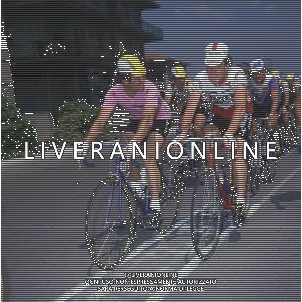 RETROSPETTIVA BERNARD HINAULT CICLISTA NELLA FOTO BERNARD HINAULT NELL\'ANNO 1981 AG ALDO LIVERANI SAS