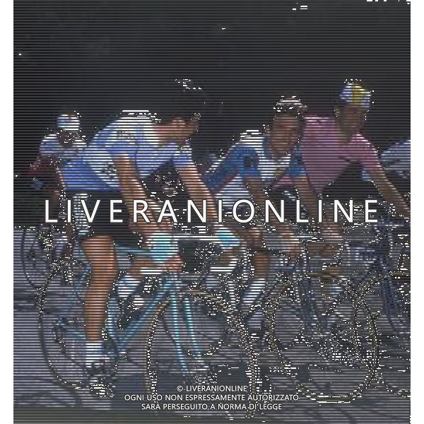 RETROSPETTIVA BERNARD HINAULT CICLISTA NELLA FOTO BERNARD HINAULT NELL\'ANNO 1982 AG ALDO LIVERANI SAS 