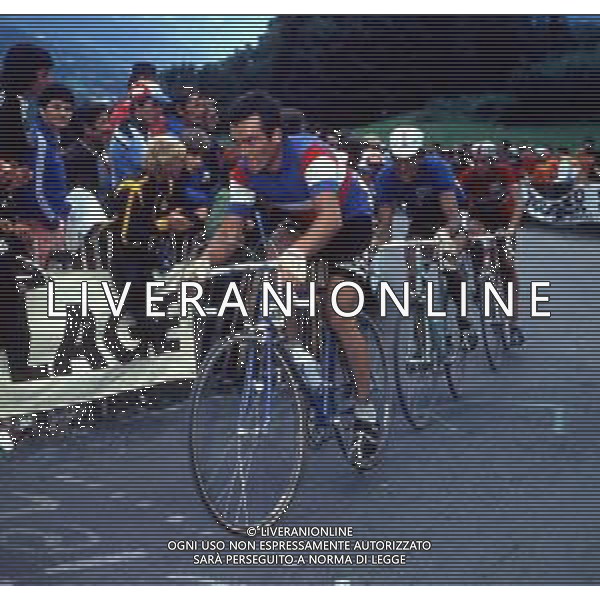 RETROSPETTIVA BERNARD HINAULT CICLISTA NELLA FOTO BERNARD HINAULT  AG ALDO LIVERANI SAS 