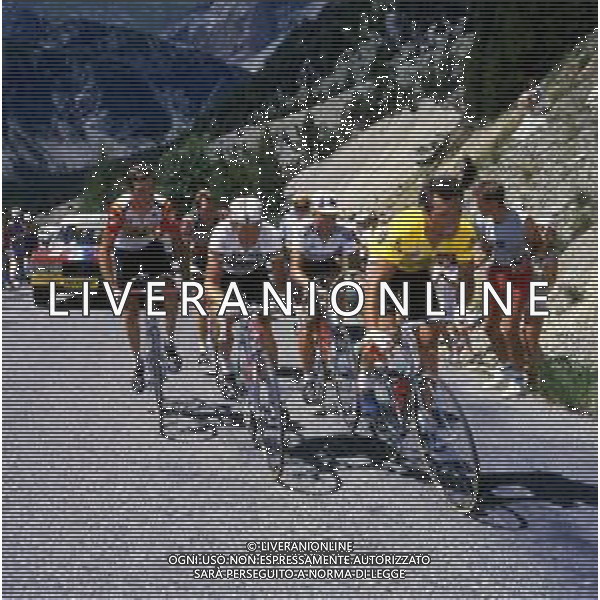 RETROSPETTIVA BERNARD HINAULT CICLISTA NELLA FOTO BERNARD HINAULT  AG ALDO LIVERANI SAS 