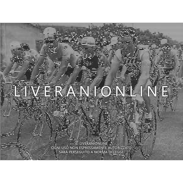 RETROSPETTIVA BERNARD HINAULT CICLISTA NELLA FOTO BERNARD HINAULT  AG ALDO LIVERANI SAS 