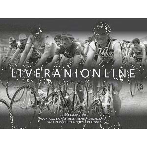 RETROSPETTIVA BERNARD HINAULT CICLISTA NELLA FOTO BERNARD HINAULT FOTO SERGIO PENAZZO-AG ALDO LIVERANI SAS 