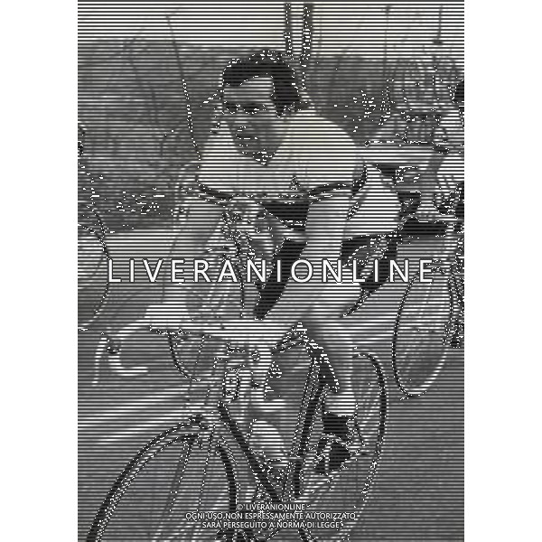 RETROSPETTIVA BERNARD HINAULT CICLISTA NELLA FOTO BERNARD HINAULT FOTO SERGIO PENAZZO-AG ALDO LIVERANI SAS 