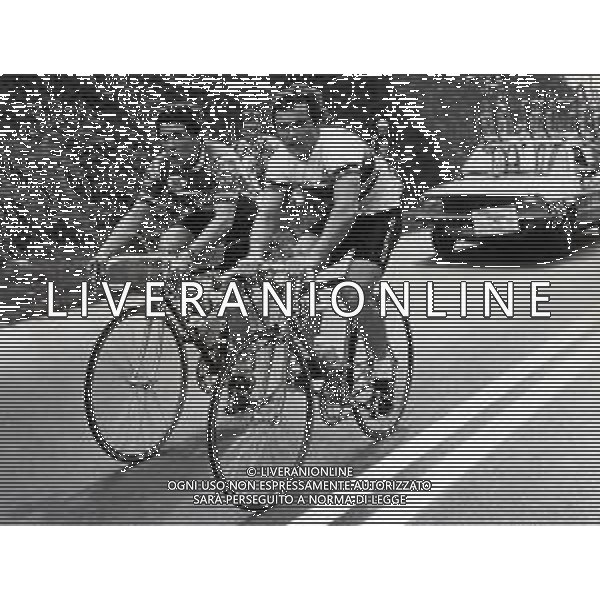 RETROSPETTIVA BERNARD HINAULT CICLISTA NELLA FOTO BERNARD HINAULT FOTO SERGIO PENAZZO-AG ALDO LIVERANI SAS 
