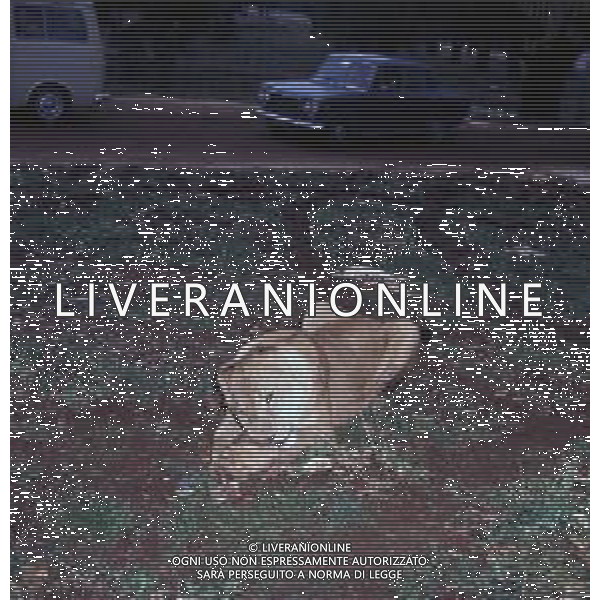 LEONI E LEONESSE AG ALDO LIVERANI SAS