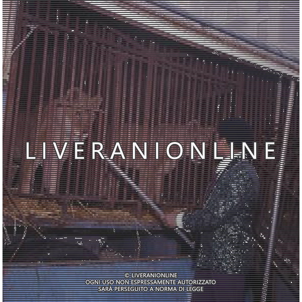 LEONI-LEONESSE AG ALDO LIVERANI SAS 
