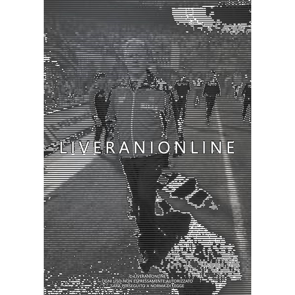 RETROSPETTIVA NILS LIEDHOLM ALLENATORE NELLA FOTO NILS LIEDHOLM ALLENATORE MILAN NELL\'ANNO 1986  AG ALDO LIVERANI SAS 