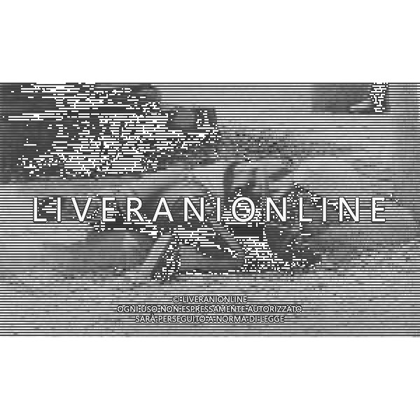 RETROSPETTIVA ALESSANDRO GASSMANN ATTORE NELLA FOTO ALESSANDRO GASSMANN AG ALDO LIVERANI SAS  