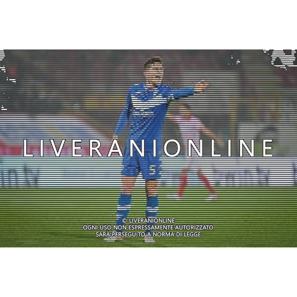 GriffoniE/LMedia - LR Vicenza vs Brescia Calcio - Italian Football Championship League BKT 2021/2022 20 November 2021 - Stadio Romeo Menti, Vicenza, Italy Photo showing: Tom van de Looi (Brescia) portrait reacts @GriffoniE/LMedia/AGENZIA ALDO LIVERANI SAS