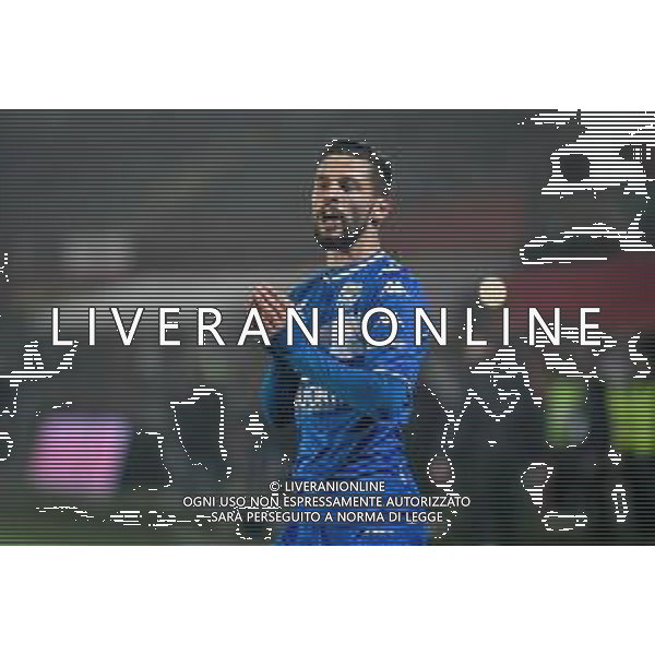 GriffoniE/LMedia - LR Vicenza vs Brescia Calcio - Italian Football Championship League BKT 2021/2022 20 November 2021 - Stadio Romeo Menti, Vicenza, Italy Photo showing: Nikolas Spalek (Brescia) portrait @GriffoniE/LMedia/AGENZIA ALDO LIVERANI SAS