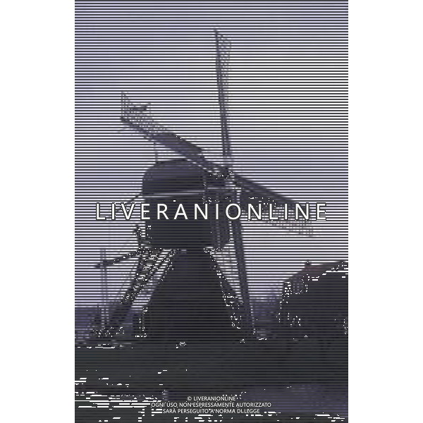 AMSTERDAM -MULINI A VENTO AG ALDO LIVERANI SAS