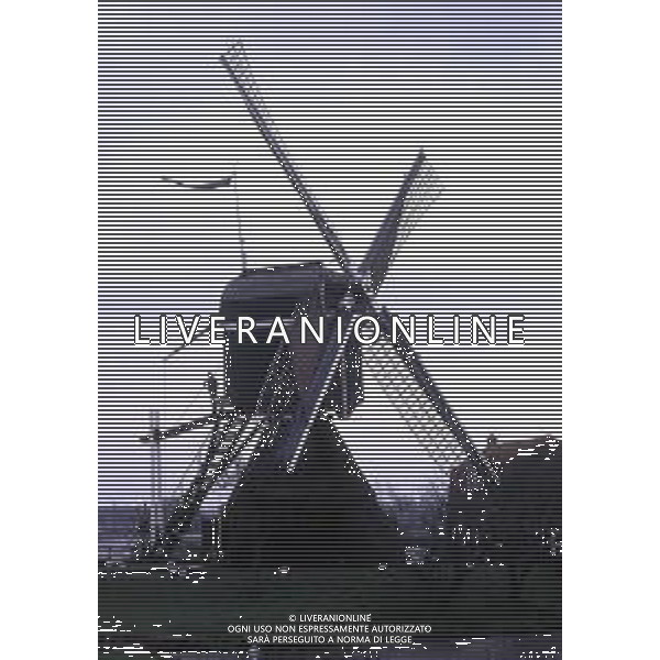 AMSTERDAM -MULINI A VENTO AG ALDO LIVERANI SAS