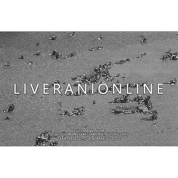 L\'alluvione della Valtellina è una serie di disastri e di tragedie naturali che si successero tra il 18 e il 28 luglio del 1987 in Valtellina nella provincia di Sondrio. I comuni protagonisti furono quelli di Valdisotto e Tartano, che furono interessati da un violento nubifragio che causò tragiche inondazioni AG ALDO LIVERANI SAS