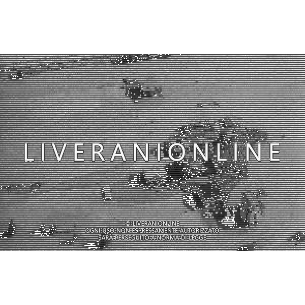 L\'alluvione della Valtellina è una serie di disastri e di tragedie naturali che si successero tra il 18 e il 28 luglio del 1987 in Valtellina nella provincia di Sondrio. I comuni protagonisti furono quelli di Valdisotto e Tartano, che furono interessati da un violento nubifragio che causò tragiche inondazioni AG ALDO LIVERANI SAS