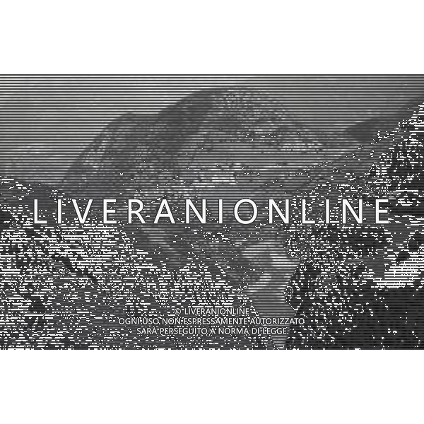 L\'alluvione della Valtellina è una serie di disastri e di tragedie naturali che si successero tra il 18 e il 28 luglio del 1987 in Valtellina nella provincia di Sondrio. I comuni protagonisti furono quelli di Valdisotto e Tartano, che furono interessati da un violento nubifragio che causò tragiche inondazioni AG ALDO LIVERANI SAS