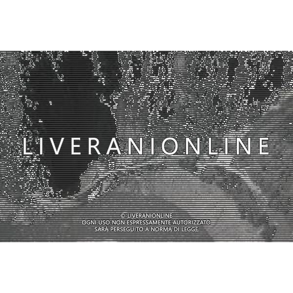 L\'alluvione della Valtellina è una serie di disastri e di tragedie naturali che si successero tra il 18 e il 28 luglio del 1987 in Valtellina nella provincia di Sondrio. I comuni protagonisti furono quelli di Valdisotto e Tartano, che furono interessati da un violento nubifragio che causò tragiche inondazioni AG ALDO LIVERANI SAS