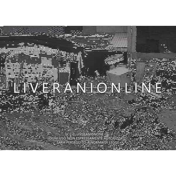 L\'alluvione della Valtellina è una serie di disastri e di tragedie naturali che si successero tra il 18 e il 28 luglio del 1987 in Valtellina nella provincia di Sondrio. I comuni protagonisti furono quelli di Valdisotto e Tartano, che furono interessati da un violento nubifragio che causò tragiche inondazioni AG ALDO LIVERANI SAS