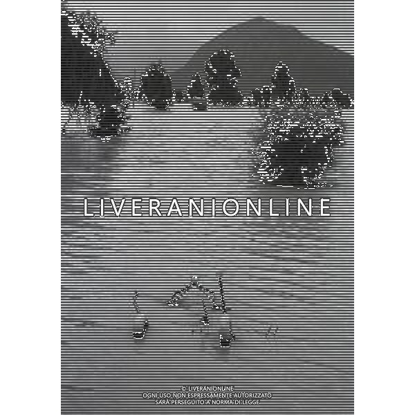 L\'alluvione della Valtellina è una serie di disastri e di tragedie naturali che si successero tra il 18 e il 28 luglio del 1987 in Valtellina nella provincia di Sondrio. I comuni protagonisti furono quelli di Valdisotto e Tartano, che furono interessati da un violento nubifragio che causò tragiche inondazioni AG ALDO LIVERANI SAS