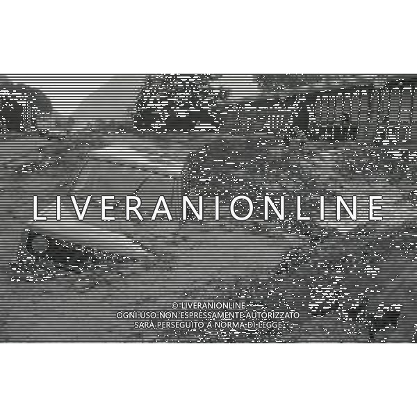 L\'alluvione della Valtellina è una serie di disastri e di tragedie naturali che si successero tra il 18 e il 28 luglio del 1987 in Valtellina nella provincia di Sondrio. I comuni protagonisti furono quelli di Valdisotto e Tartano, che furono interessati da un violento nubifragio che causò tragiche inondazioni AG ALDO LIVERANI SAS