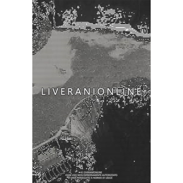 L\'alluvione della Valtellina è una serie di disastri e di tragedie naturali che si successero tra il 18 e il 28 luglio del 1987 in Valtellina nella provincia di Sondrio. I comuni protagonisti furono quelli di Valdisotto e Tartano, che furono interessati da un violento nubifragio che causò tragiche inondazioni AG ALDO LIVERANI SAS