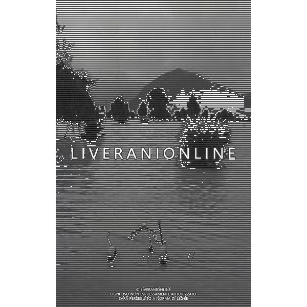 L\'alluvione della Valtellina è una serie di disastri e di tragedie naturali che si successero tra il 18 e il 28 luglio del 1987 in Valtellina nella provincia di Sondrio. I comuni protagonisti furono quelli di Valdisotto e Tartano, che furono interessati da un violento nubifragio che causò tragiche inondazioni AG ALDO LIVERANI SAS