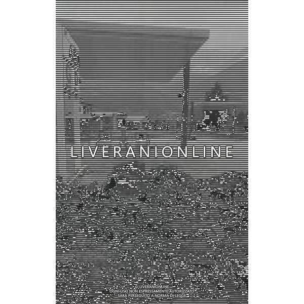 L\'alluvione della Valtellina è una serie di disastri e di tragedie naturali che si successero tra il 18 e il 28 luglio del 1987 in Valtellina nella provincia di Sondrio. I comuni protagonisti furono quelli di Valdisotto e Tartano, che furono interessati da un violento nubifragio che causò tragiche inondazioni AG ALDO LIVERANI SAS