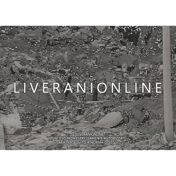 L\'alluvione della Valtellina è una serie di disastri e di tragedie naturali che si successero tra il 18 e il 28 luglio del 1987 in Valtellina nella provincia di Sondrio. I comuni protagonisti furono quelli di Valdisotto e Tartano, che furono interessati da un violento nubifragio che causò tragiche inondazioni AG ALDO LIVERANI SAS