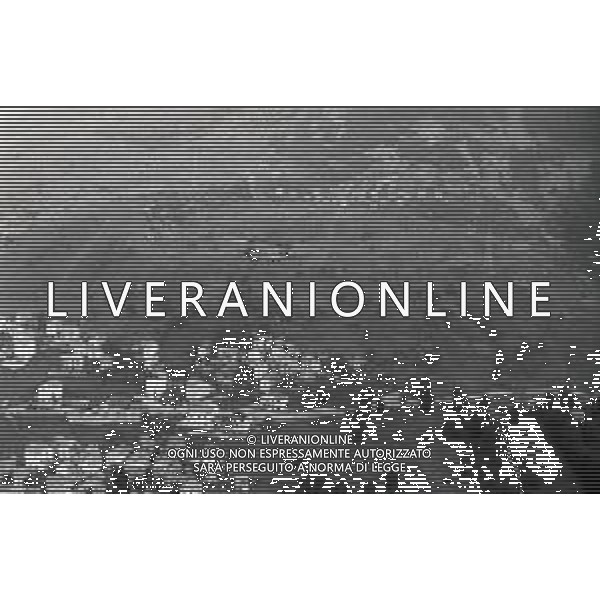 L\'alluvione della Valtellina è una serie di disastri e di tragedie naturali che si successero tra il 18 e il 28 luglio del 1987 in Valtellina nella provincia di Sondrio. I comuni protagonisti furono quelli di Valdisotto e Tartano, che furono interessati da un violento nubifragio che causò tragiche inondazioni AG ALDO LIVERANI SAS