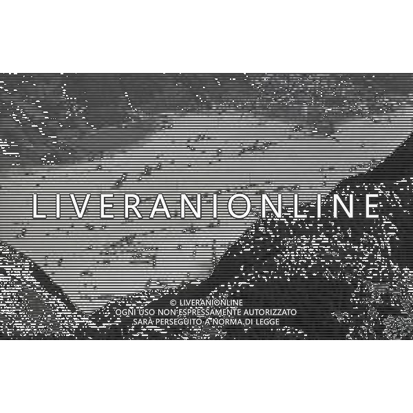 L\'alluvione della Valtellina è una serie di disastri e di tragedie naturali che si successero tra il 18 e il 28 luglio del 1987 in Valtellina nella provincia di Sondrio. I comuni protagonisti furono quelli di Valdisotto e Tartano, che furono interessati da un violento nubifragio che causò tragiche inondazioni AG ALDO LIVERANI SAS