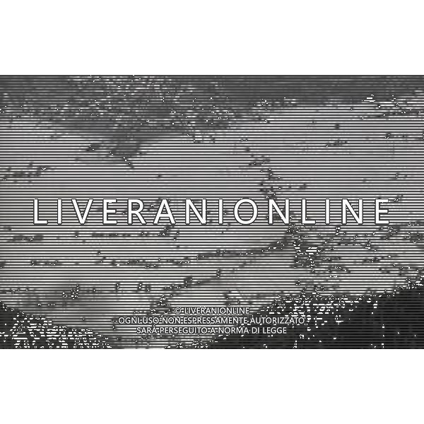 L\'alluvione della Valtellina è una serie di disastri e di tragedie naturali che si successero tra il 18 e il 28 luglio del 1987 in Valtellina nella provincia di Sondrio. I comuni protagonisti furono quelli di Valdisotto e Tartano, che furono interessati da un violento nubifragio che causò tragiche inondazioni AG ALDO LIVERANI SAS