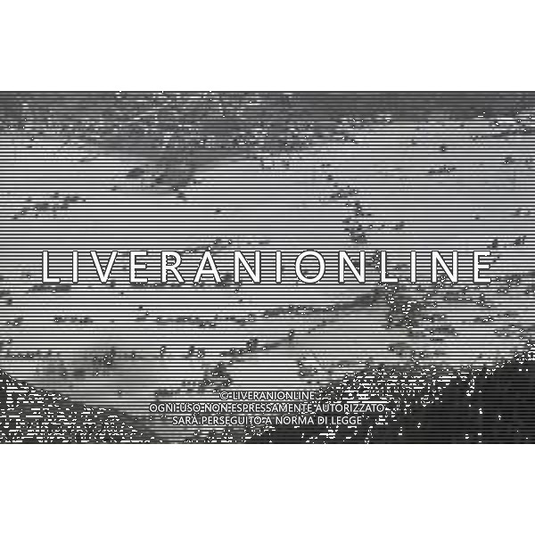 L\'alluvione della Valtellina è una serie di disastri e di tragedie naturali che si successero tra il 18 e il 28 luglio del 1987 in Valtellina nella provincia di Sondrio. I comuni protagonisti furono quelli di Valdisotto e Tartano, che furono interessati da un violento nubifragio che causò tragiche inondazioni AG ALDO LIVERANI SAS