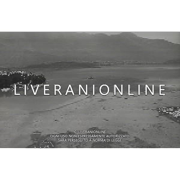 L\'alluvione della Valtellina è una serie di disastri e di tragedie naturali che si successero tra il 18 e il 28 luglio del 1987 in Valtellina nella provincia di Sondrio. I comuni protagonisti furono quelli di Valdisotto e Tartano, che furono interessati da un violento nubifragio che causò tragiche inondazioni AG ALDO LIVERANI SAS