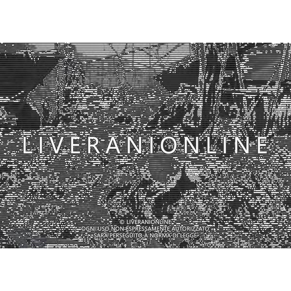 L\'alluvione della Valtellina è una serie di disastri e di tragedie naturali che si successero tra il 18 e il 28 luglio del 1987 in Valtellina nella provincia di Sondrio. I comuni protagonisti furono quelli di Valdisotto e Tartano, che furono interessati da un violento nubifragio che causò tragiche inondazioni AG ALDO LIVERANI SAS
