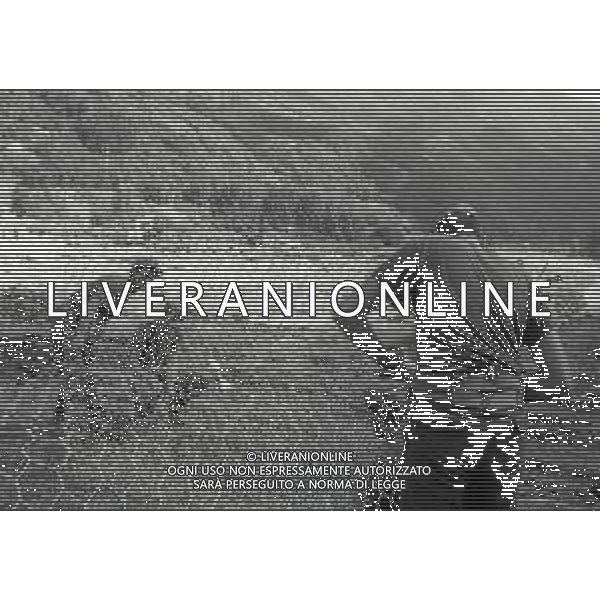 L\'alluvione della Valtellina è una serie di disastri e di tragedie naturali che si successero tra il 18 e il 28 luglio del 1987 in Valtellina nella provincia di Sondrio. I comuni protagonisti furono quelli di Valdisotto e Tartano, che furono interessati da un violento nubifragio che causò tragiche inondazioni AG ALDO LIVERANI SAS