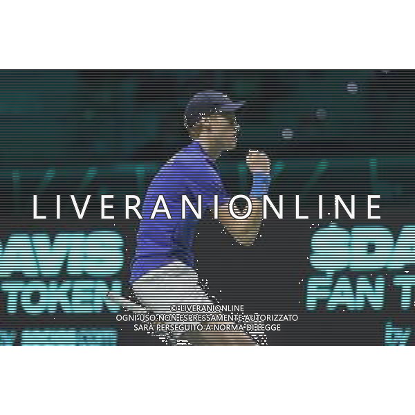 Torino 26.11.2021 PalaAlpitour Davis Cup by Rakuten Finals 2021 Stati Uniti vs Italia ©Manuela Viganti/Agenzia Aldo Liverani Nella foto: esultanza jannik sinner ©VIGANTI/AGENZIA ALDO LIVERANI SAS